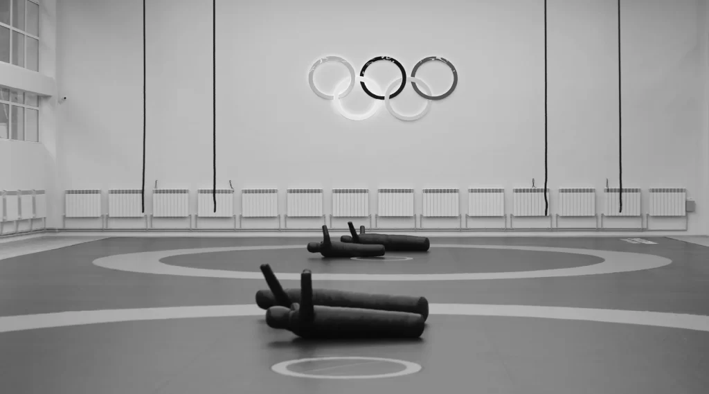 Black and white wall painted with rings at the Dilijan Sports Complex 