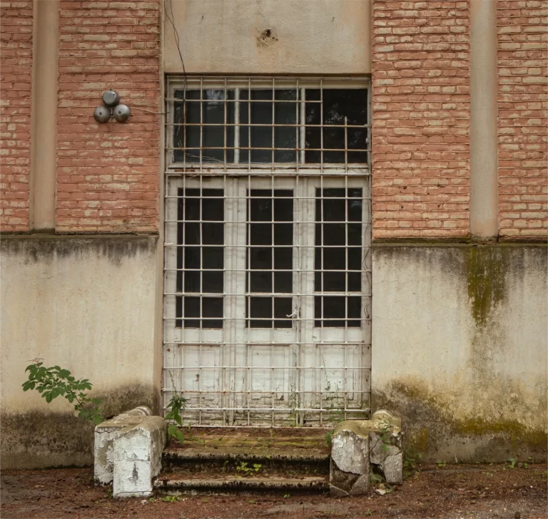 Lattice door of the brick house