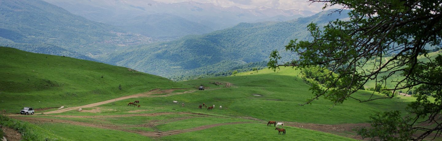 Processed with VSCO with g3 preset